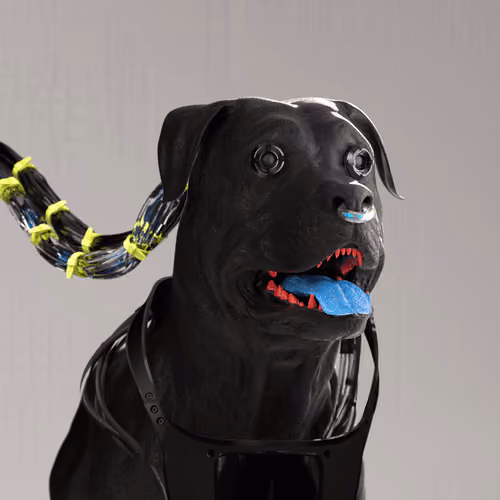 K9 #926