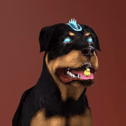 K9 #111