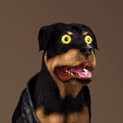 K9 #702