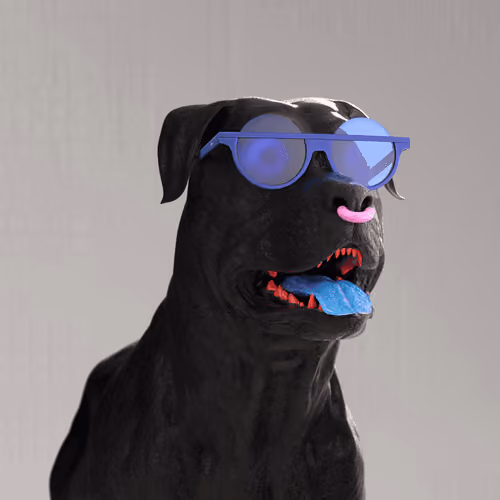 K9 #570