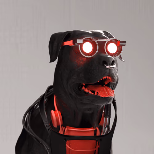 K9 #916