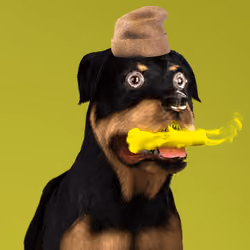 K9 #397