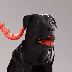 K9 #173