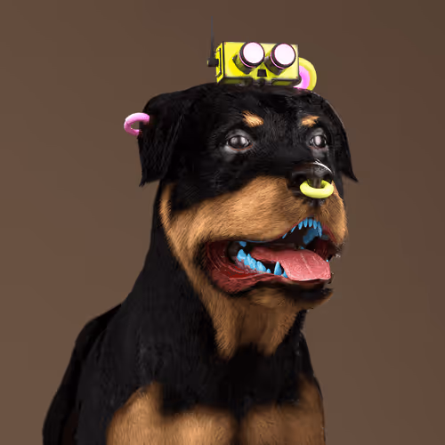 K9 #139