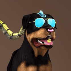 K9 #1078