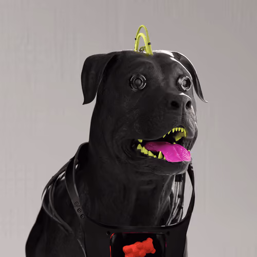 K9 #788
