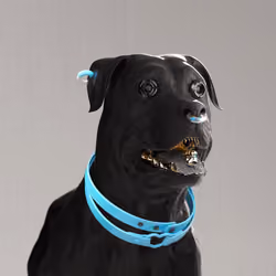 K9 #198
