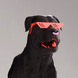 K9 #115