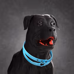 K9 #225