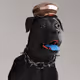 265