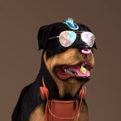 K9 #938