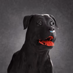 K9 #146