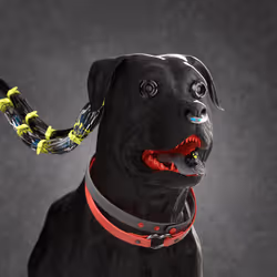 K9 #192