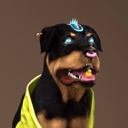 K9 #535