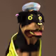 748