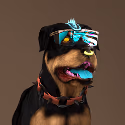 K9 #832
