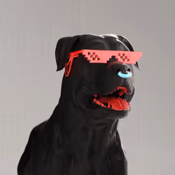 K9 #807