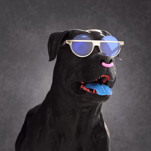 K9 #8