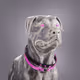 311