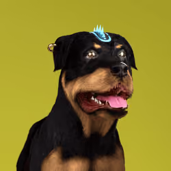 K9 #845