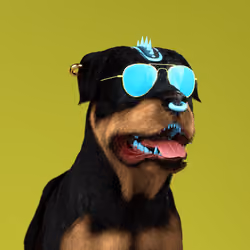 K9 #136