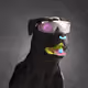 1077