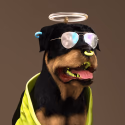 K9 #156