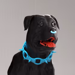 K9 #886