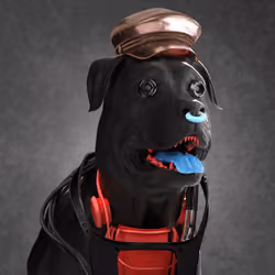 K9 #538