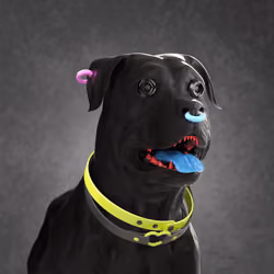 K9 #138