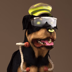 K9 #944