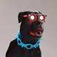 1038
