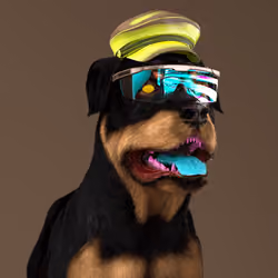 K9 #378
