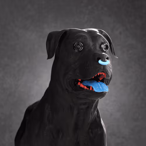 K9 #904