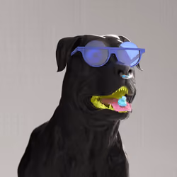 K9 #846