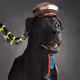 520