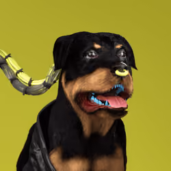 K9 #537