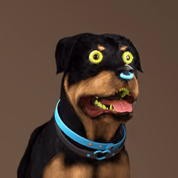 K9 #116
