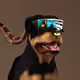 263