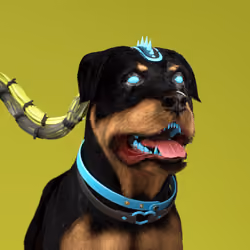 K9 #519