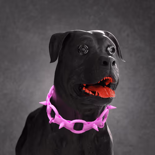 K9 #550