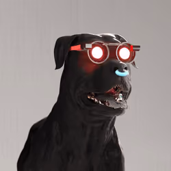K9 #762
