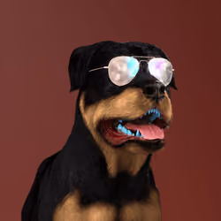 K9 #489