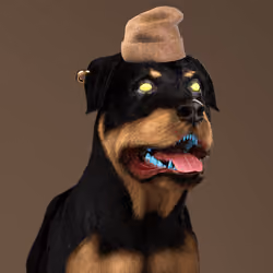 K9 #338