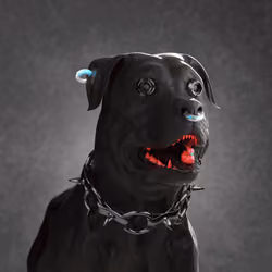 K9 #623