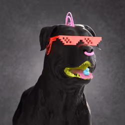 K9 #668
