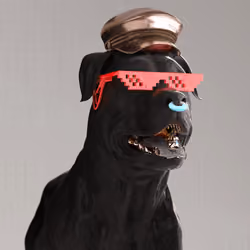 K9 #218