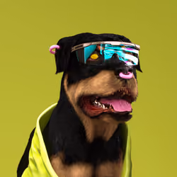 K9 #834