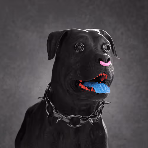K9 #909