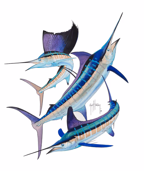 Item #54046007484426397947652008257913948888512272327257714115518373860172470681606 Media